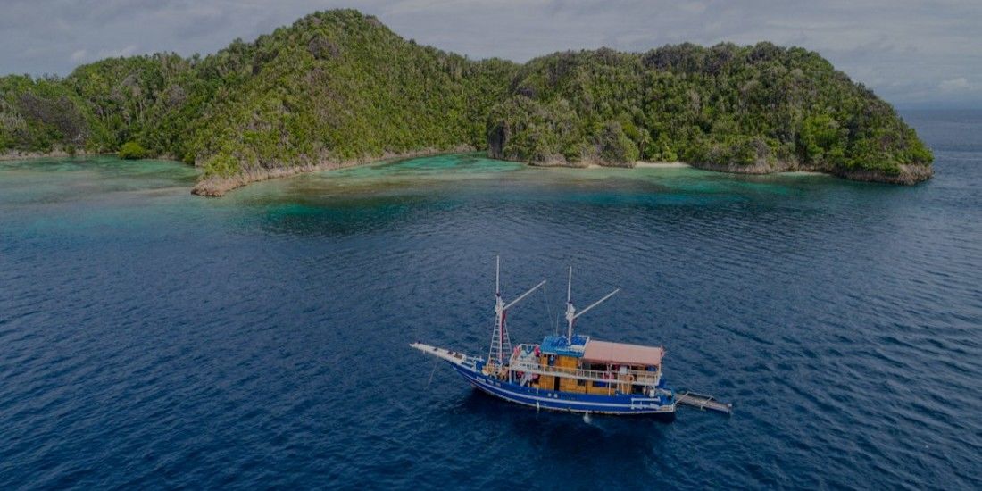 Marine conservation company tackling plastic pollution and providing community support in Indonesia Marine conservation company tackling plastic pollution and providing community support in Indonesia - our staff picked investment